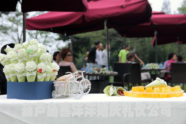 7.25兴城海上海婚礼