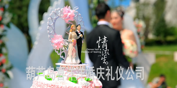 《情浓一生》户外草(cǎo)坪婚礼
