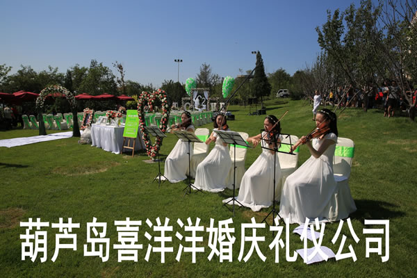 《情浓一生》户外草(cǎo)坪婚礼